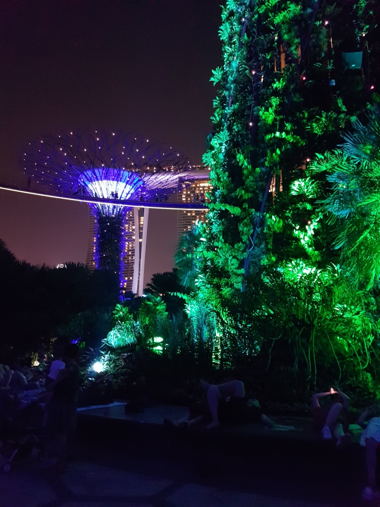 Super-medžiai Singapūre